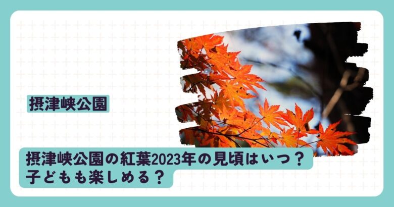 摂津峡公園の2023年紅葉の見頃はいつ？子どもも楽しめる？