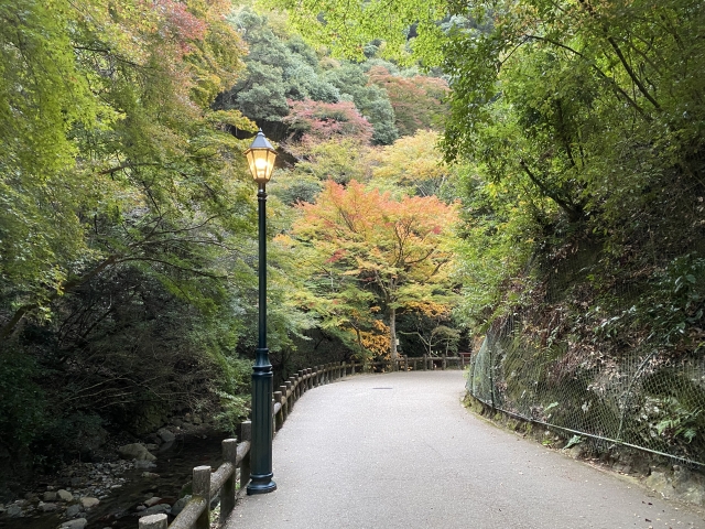 箕面公園