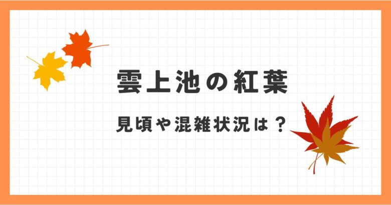 雲場池の紅葉2024の見頃はいつ？見どころや混雑状況は？