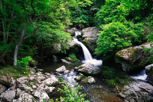 るり渓自然公園