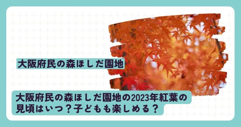 大阪府民の森ほしだ園地の2023年紅葉の見頃はいつ？子どもも楽しめる？