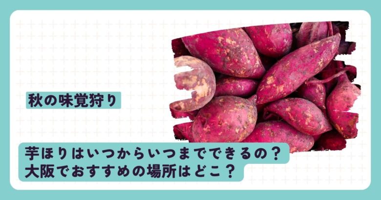 芋ほりはいつからできるの？大阪でおすすめの場所はどこ？