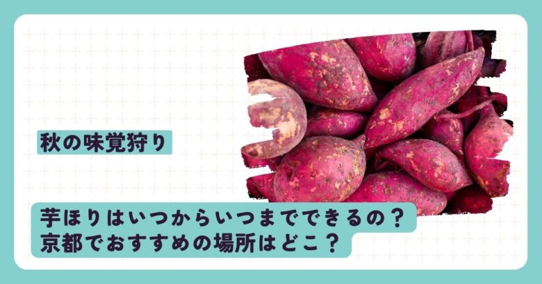 芋ほりはいつからできるの？京都でおすすめの場所はどこ？