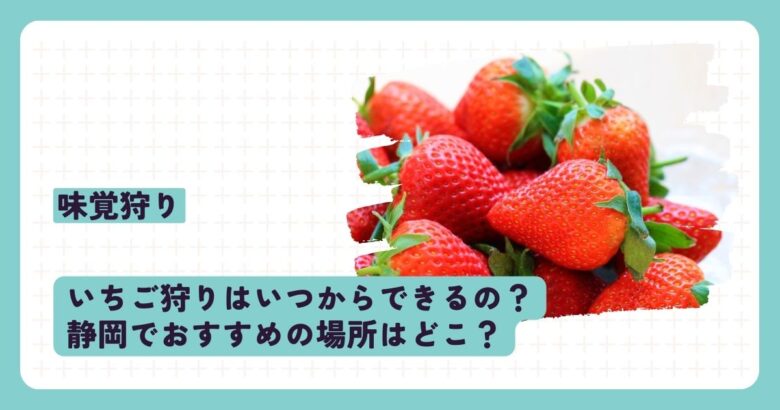 いちご狩りはいつからできるの？静岡でおすすめの場所はどこ？