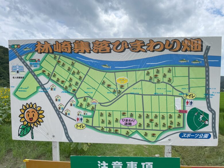 ひまわり畑地図