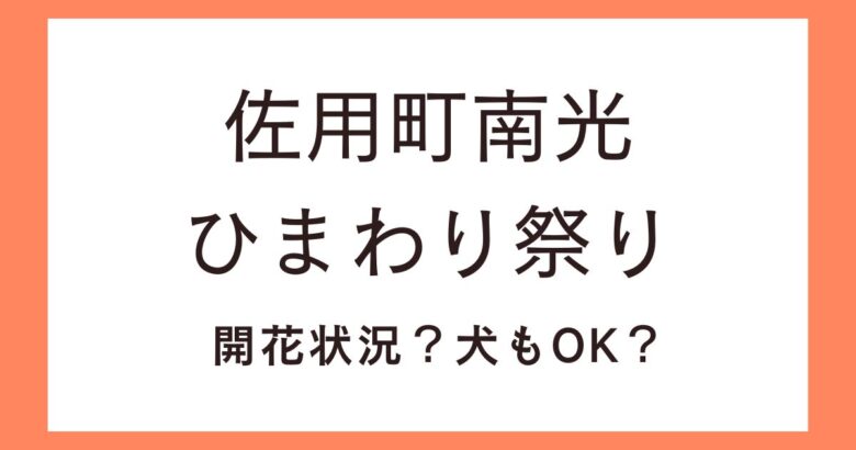 佐用町南光ひまわり祭り2024ひまわり畑の開花状況は？犬も連れて一緒に楽しめる？