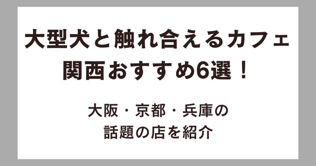 大型犬と触れ合えるカフェ関西おすすめ6選！大阪・京都・兵庫の話題の店を紹介