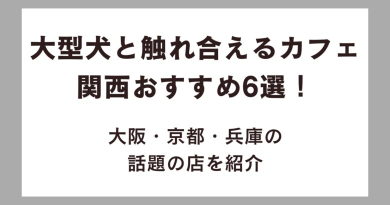 大型犬と触れ合えるカフェ関西おすすめ6選！大阪・京都・兵庫の話題の店を紹介
